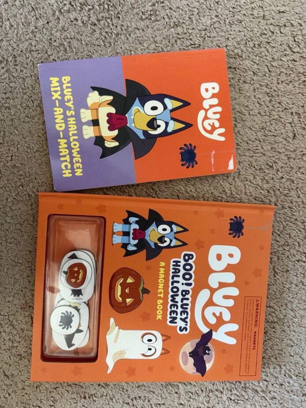 2 bluey Halloween books - activity style